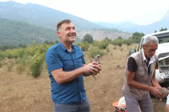 Sarıcakaya'da 200 Keklik Doğaya Salındı