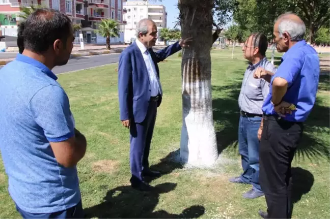 Şanlıurfa'da Ağaç Koruma Çalışmaları