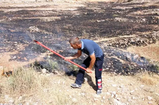 Midyat'ta Anız Yangını