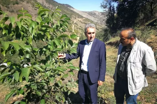 Gümüşhane Ceviz Vadisi Olma Yolunda Hızla İlerliyor