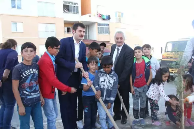 İncesu'da Ağaçlandırma Çalışmaları Devam Ediyor
