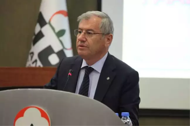 Menevşe: