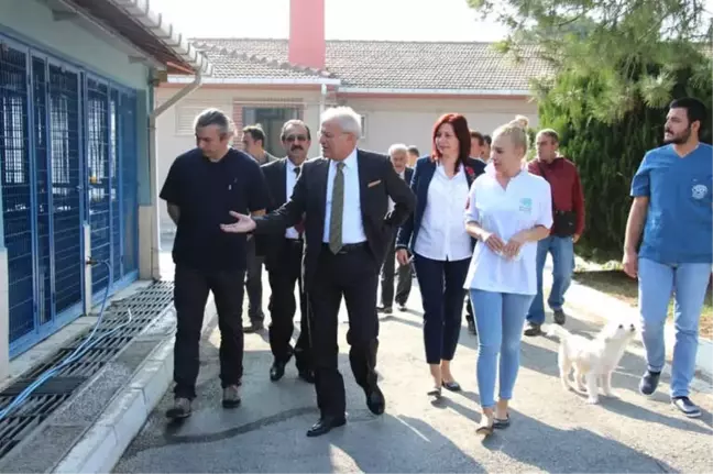 Vali Yardımcısı Can Dostları Kendi Elleriyle Besledi