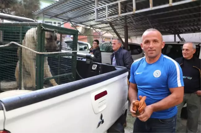 Bir Köpeğin Gözyaşları ile Gelen Dostluk