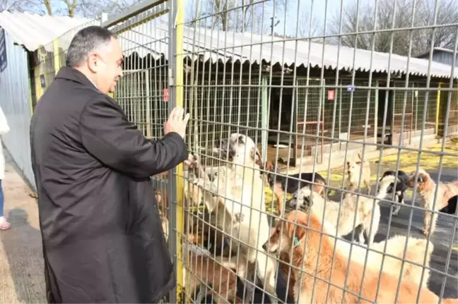 Başkan Ay Barınaktaki Çalışmaları Yerinde İnceledi