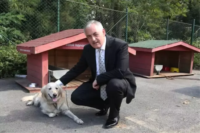 Başkan Aydın: