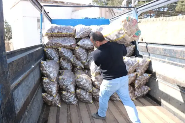 Patates Üreticisi Tanzim Satışlarından Memnun