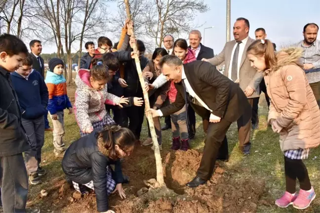 Bilecik'te 11 Çınar ve Ihlamur Ağacı Fidanı Dikildi