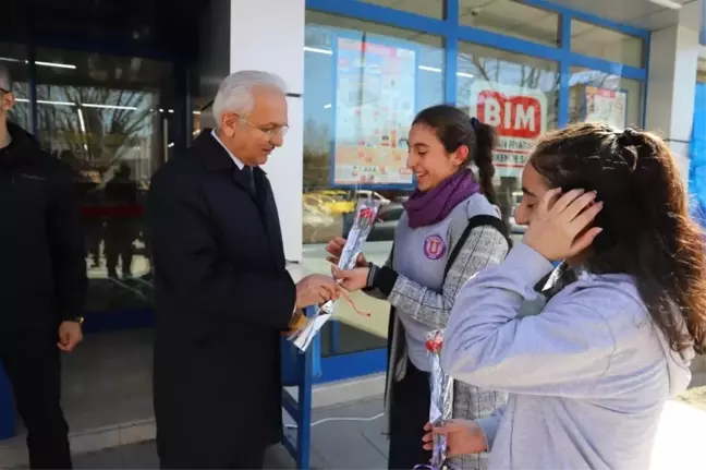 Gökyüzünden Erzincan'a Yüzlerce Karanfil Yağdı