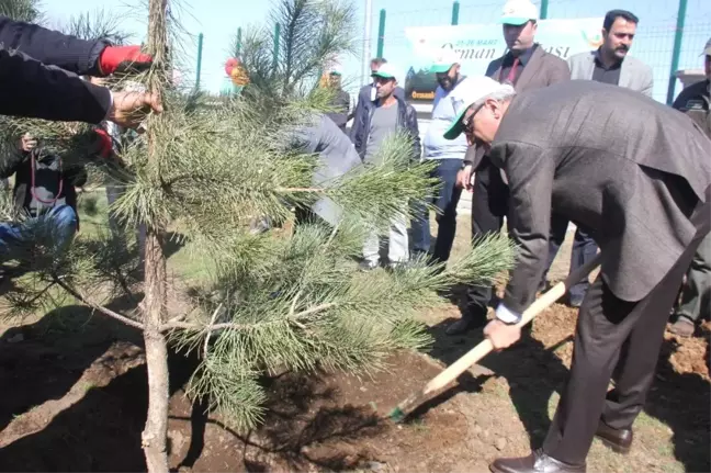 Bingöl'de Adalet Ormanı Oluşturuldu