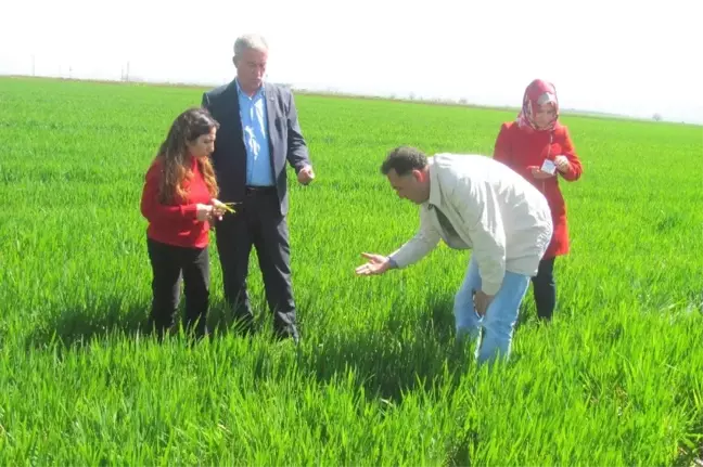 Başkan Altun ve Ziraat Mühendisleri, Arabanlı Üreticileri Bilgilendirdi
