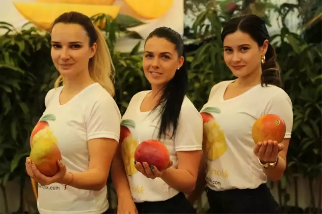 Tanesi 30 Lira Olan Mangonun Fidanı da Kapış Kapış Satılıyor