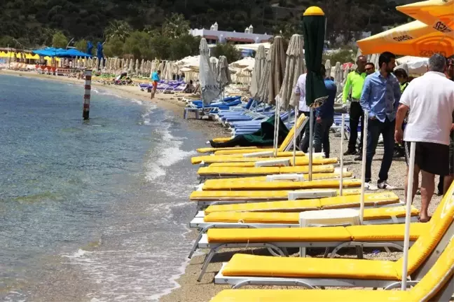Ege Denizi'nde Can Pazarı