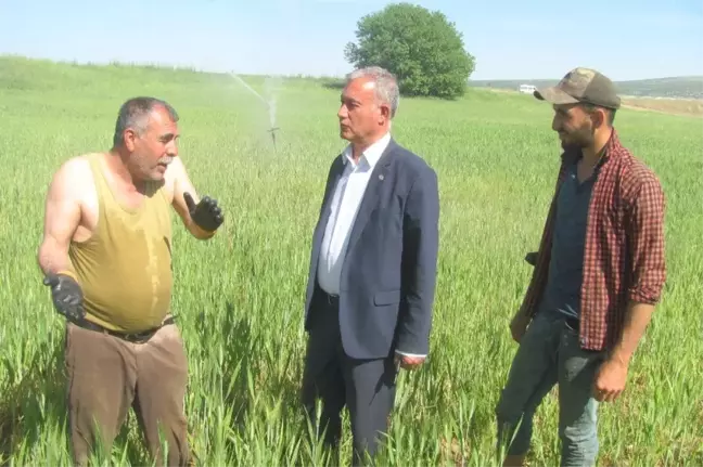 Çiftçiler Günü'nü Tarlada Çalışarak Kutladılar