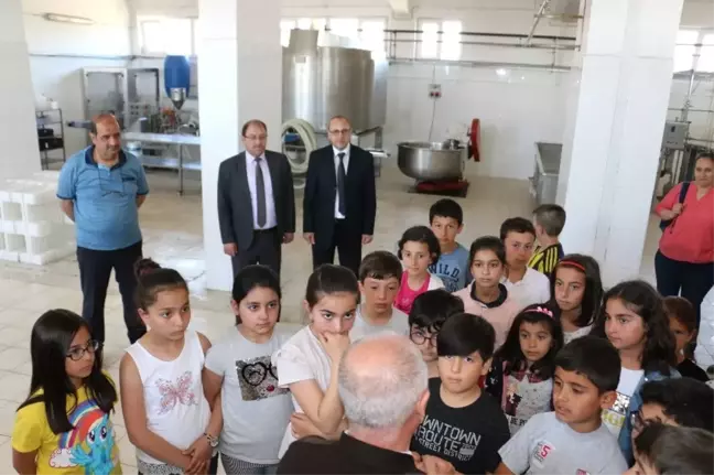 Erzincan'da Dünya Süt Günü Kutlandı
