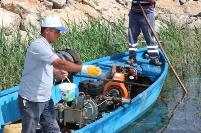 Beyşehir Gölü'nde sinekle mücadele çalışması