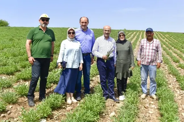 Adana'da tarımsal ürün çeşitliliği artıyor