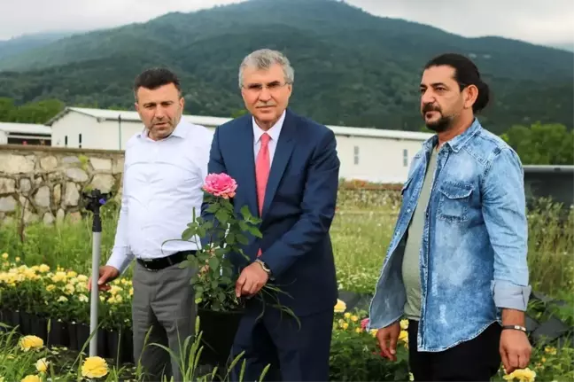 Başkan Yüce: