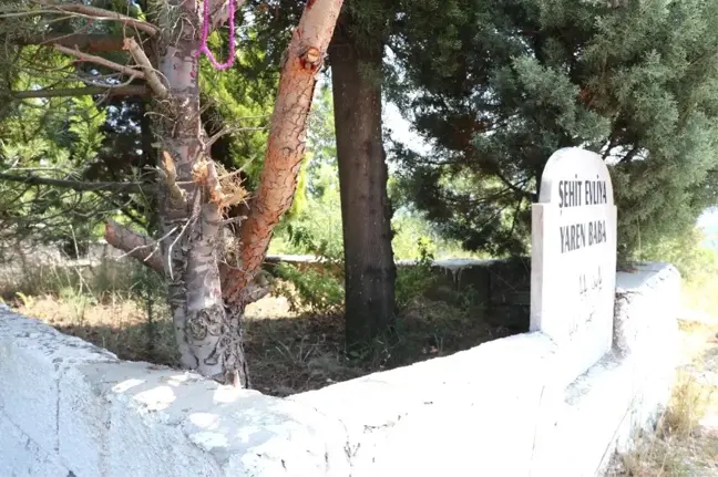 AK Parti'li Başkan: