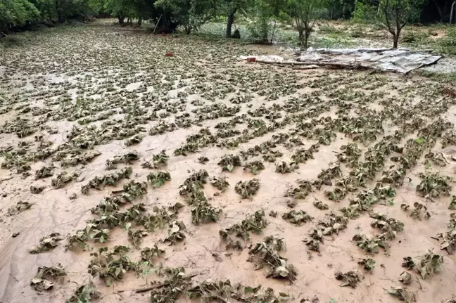 Yozgat'ta yaşanan sel felaketi sonrası zarar gün yüzüne çıktı