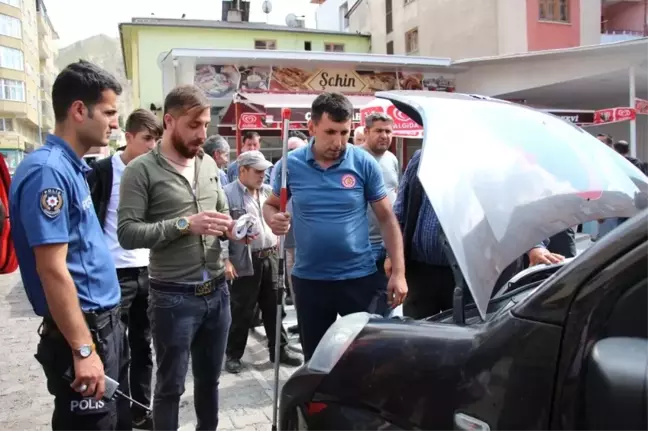 Oltu'da yılan operasyonu