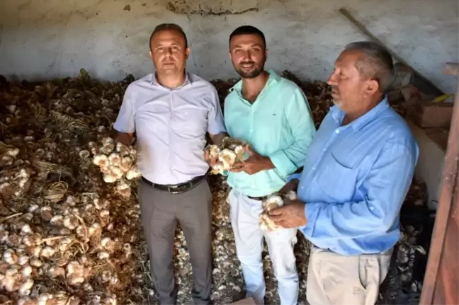 Aksaray'dan yurt dışına sarımsak ihracatı yapılacak