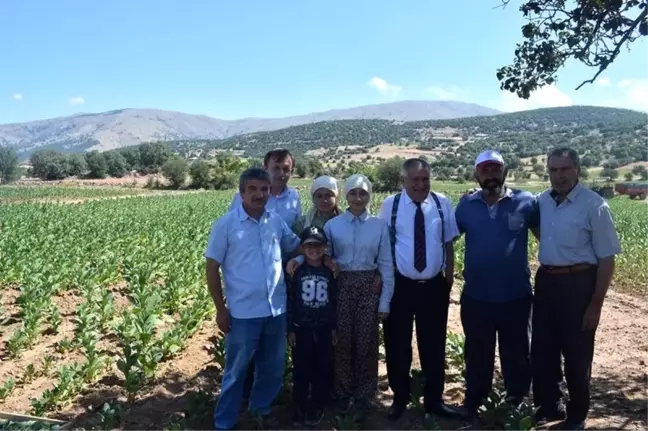 Kaymakam Soley başarılı öğrenciyi tarlada ziyaret etti