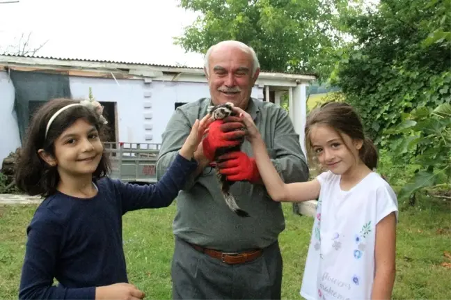 Nesli tehlike altında olan alacasansarları elleriyle besliyor