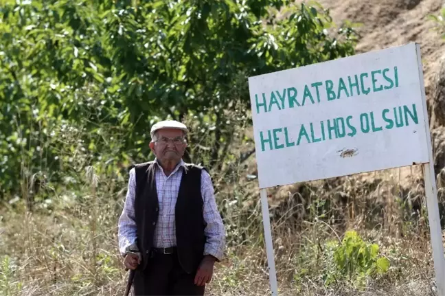 Bu tarladaki sebze ve meyveler 22 yıldır ücretsiz