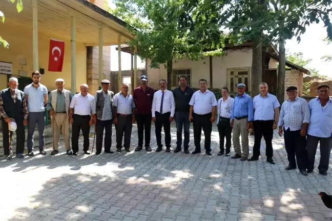 Sungurlu'da 10 dilim kavun hasadı başladı