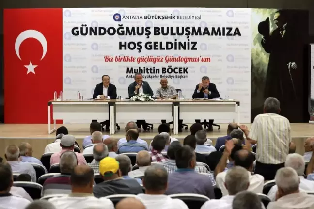 Böcek: