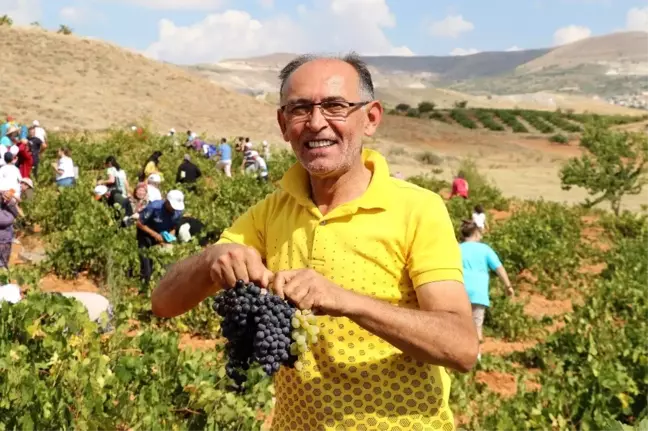Ürgüp'te Bağ Bozumu Festivali devam ediyor