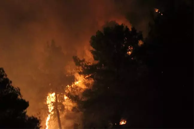 Hatay'da 25 farklı noktada orman yangını
