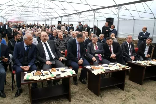 Devrek'te düzenlenen