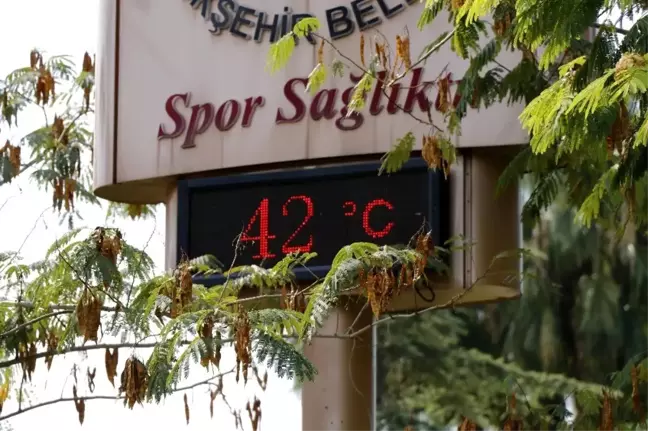 Adana'da termometreler 42 dereceyi gördü