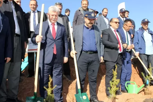 Çankırı'da 26 noktada fidan dikimi