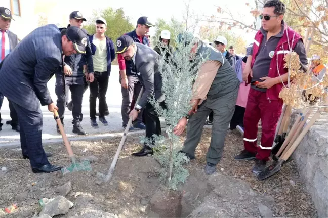 Sivrihisar'da da fidanlar toprakla buluştu