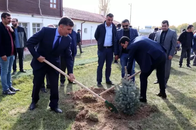 Sultansuyu Harası'nda 3 bin fidan toprakla buluştu