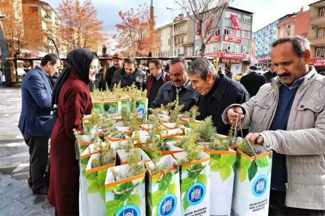 Akyurt Belediyesi'nden 8 bin fidan