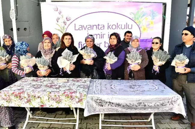 Büyükşehir Doğancılar'a 32 bin lavanta fidesi dağıttı
