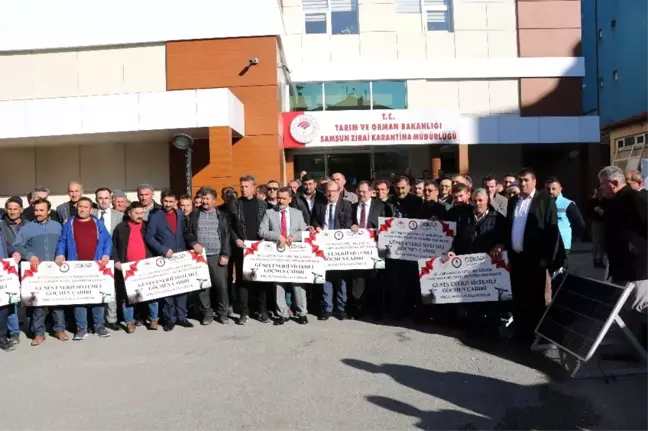 Besicilere 'güneş enerjisinden elektrik üreten çadır' dağıtıldı