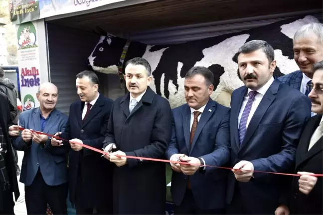 Bakan Pakdemirli 'Akıllı İnek' projesinin açılışını gerçekleştirdi
