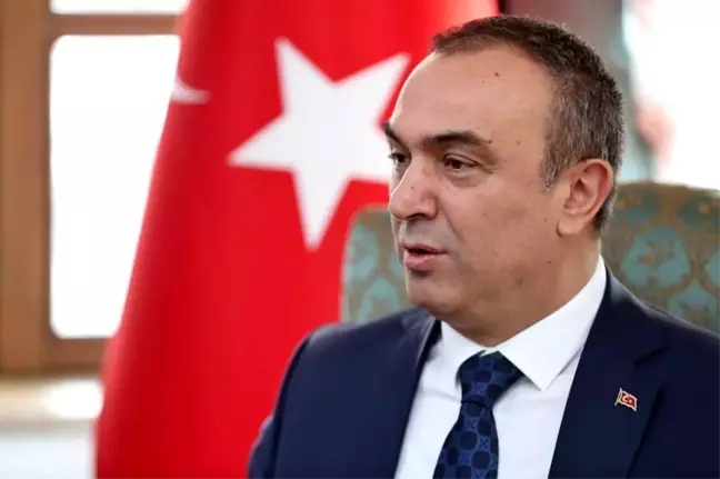 Kilis'te zeytinyağı ile üzümde yeni yatırımlar