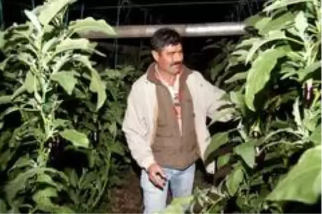 Fethiye'de sera üreticisinin sobalı don nöbeti