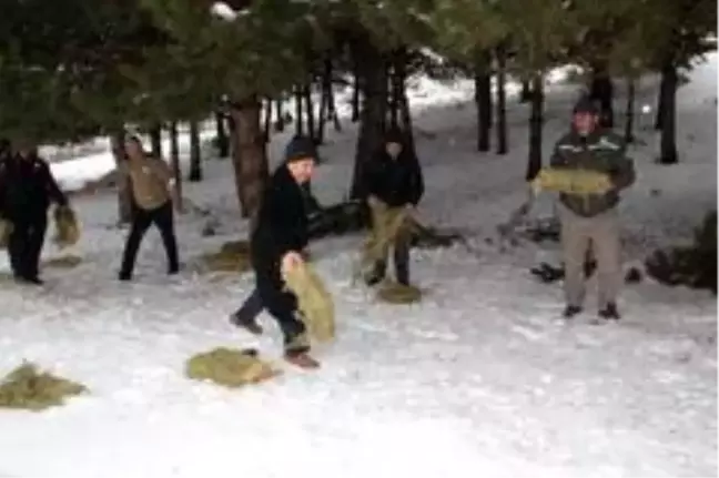 Akşehir'de yabani hayvanlar için doğaya yem bırakıldı