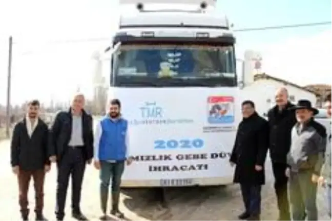 Türkiye'nin ilk damızlık düve ihracatı Eskişehir'den yapıldı