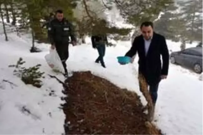 Yaban hayatı için seferber oldular