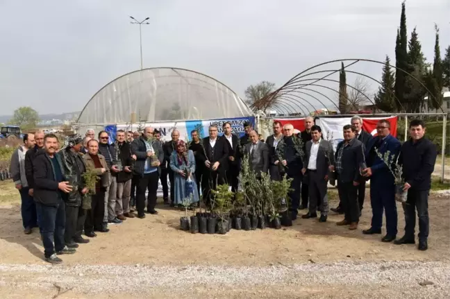Yunusemre'den üreticiye fidan desteği
