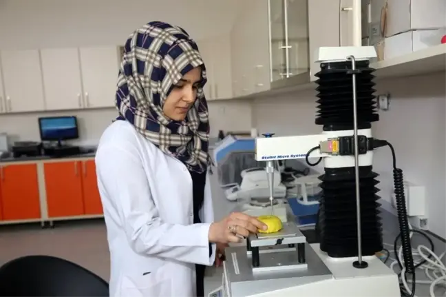 Iğdır Üniversitesi'nden Covıd-19 virüsüne karşı