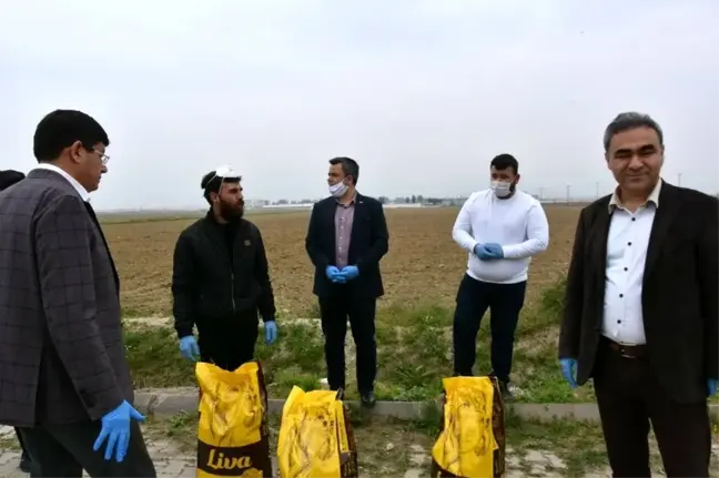 Nazilli'de sokak hayvanları unutulmadı